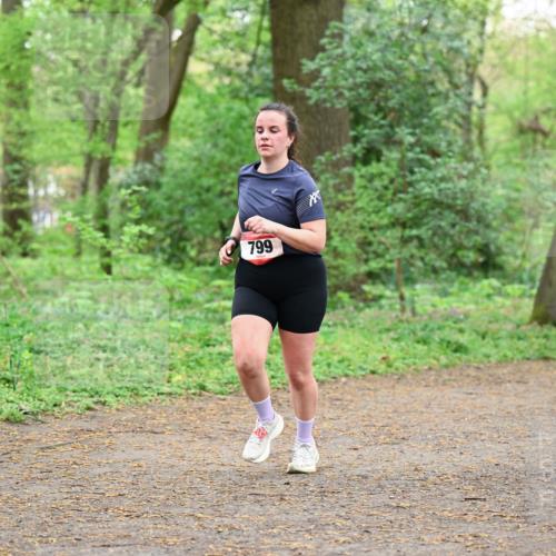 19.04.2026 - Hammer Lauf Dr. Thomas Lammeyer http://msf.ph/oto/9541796 19.04.2026 10:48:19 Laufen 799 meine-sportfotos.de