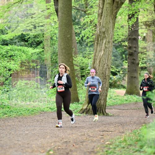 19.04.2026 - Hammer Lauf Dr. Thomas Lammeyer http://msf.ph/oto/9541907 19.04.2026 10:49:12 Laufen 1830, 836 meine-sportfotos.de
