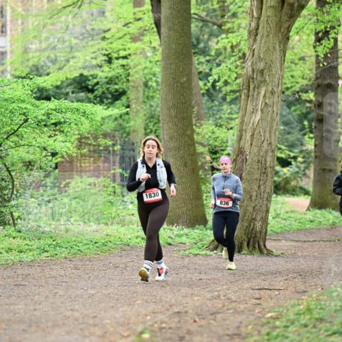 19.04.2026 - Hammer Lauf Dr. Thomas Lammeyer http://msf.ph/oto/9541909 19.04.2026 10:49:13 Laufen 1830, 836 meine-sportfotos.de