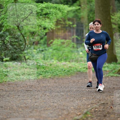 19.04.2026 - Hammer Lauf Dr. Thomas Lammeyer http://msf.ph/oto/9542210 19.04.2026 10:51:17 Laufen 1303 meine-sportfotos.de