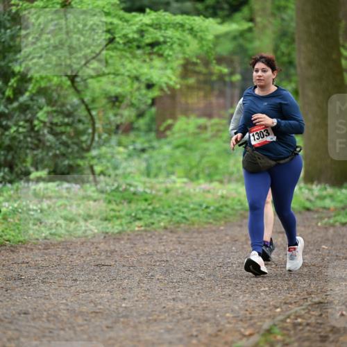 19.04.2026 - Hammer Lauf Dr. Thomas Lammeyer http://msf.ph/oto/9542213 19.04.2026 10:51:17 Laufen 1303 meine-sportfotos.de