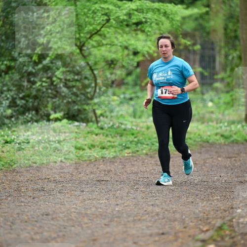 19.04.2026 - Hammer Lauf Dr. Thomas Lammeyer http://msf.ph/oto/9542318 19.04.2026 10:51:57 Laufen 179 meine-sportfotos.de