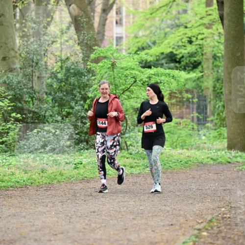 19.04.2026 - Hammer Lauf Dr. Thomas Lammeyer http://msf.ph/oto/9542425 19.04.2026 10:53:00 Laufen 1144, 526 meine-sportfotos.de