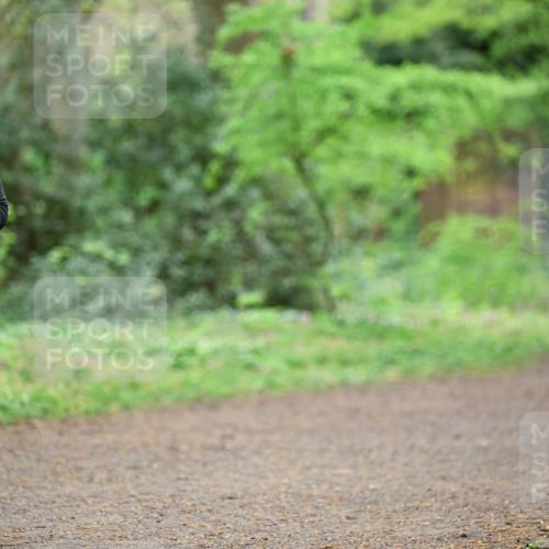 19.04.2026 - Hammer Lauf Dr. Thomas Lammeyer http://msf.ph/oto/9542525 19.04.2026 10:53:30 Laufen 1297 meine-sportfotos.de