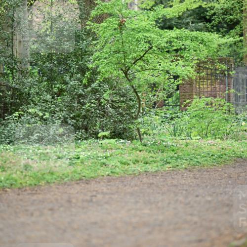 19.04.2026 - Hammer Lauf Dr. Thomas Lammeyer http://msf.ph/oto/9542613 19.04.2026 10:54:26 Laufen  meine-sportfotos.de