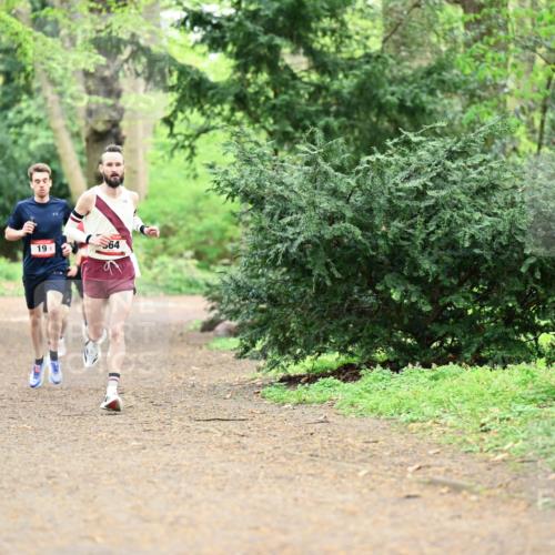 19.04.2026 - Hammer Lauf Dr. Thomas Lammeyer http://msf.ph/oto/9543171 19.04.2026 11:02:18 Laufen  meine-sportfotos.de