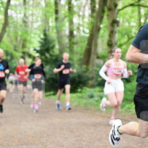 19.04.2026 - Hammer Lauf Dr. Thomas Lammeyer http://msf.ph/oto/9543430 19.04.2026 11:02:51 Laufen 269 meine-sportfotos.de