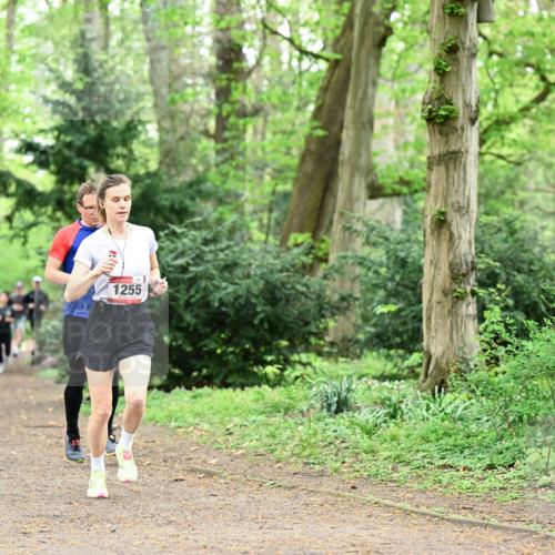 19.04.2026 - Hammer Lauf Dr. Thomas Lammeyer http://msf.ph/oto/9543479 19.04.2026 11:02:58 Laufen 1255 meine-sportfotos.de