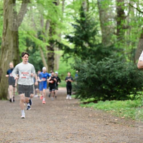 19.04.2026 - Hammer Lauf Dr. Thomas Lammeyer http://msf.ph/oto/9543512 19.04.2026 11:03:02 Laufen 520 meine-sportfotos.de