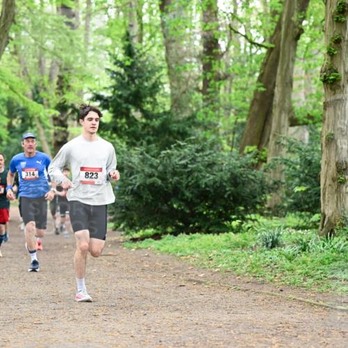 19.04.2026 - Hammer Lauf Dr. Thomas Lammeyer http://msf.ph/oto/9543526 19.04.2026 11:03:04 Laufen 218, 314, 823 meine-sportfotos.de