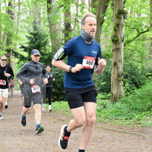 19.04.2026 - Hammer Lauf Dr. Thomas Lammeyer http://msf.ph/oto/9543570 19.04.2026 11:03:09 Laufen 516, 1278, 649, 468 meine-sportfotos.de