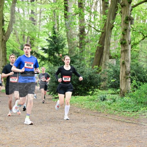 19.04.2026 - Hammer Lauf Dr. Thomas Lammeyer http://msf.ph/oto/9543847 19.04.2026 11:03:42 Laufen 920, 1103, 117, 604, 1681, 912 meine-sportfotos.de