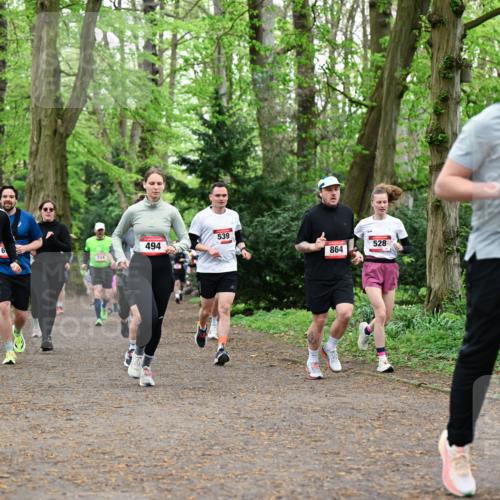 19.04.2026 - Hammer Lauf Dr. Thomas Lammeyer http://msf.ph/oto/9544086 19.04.2026 11:04:10 Laufen 601, 539, 494, 528, 554, 864, 1018 meine-sportfotos.de