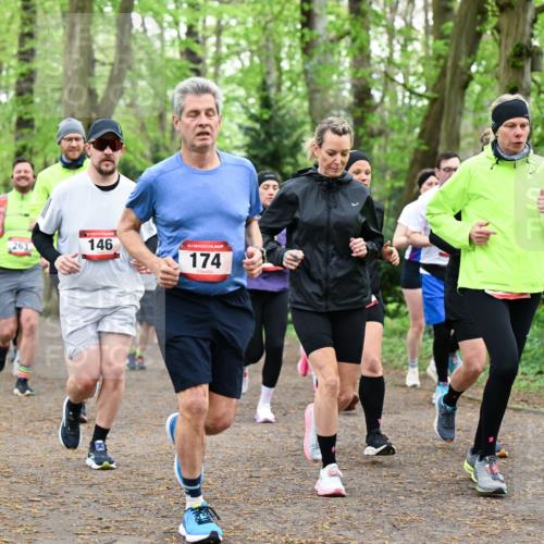 19.04.2026 - Hammer Lauf Dr. Thomas Lammeyer http://msf.ph/oto/9544260 19.04.2026 11:04:28 Laufen 181, 263, 146, 174, 1296 meine-sportfotos.de