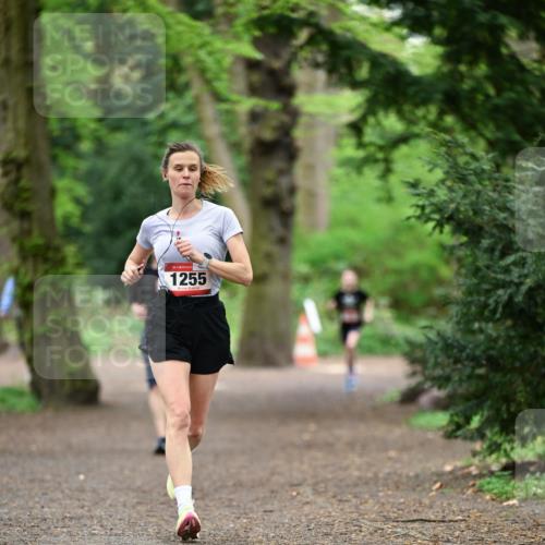 19.04.2026 - Hammer Lauf Dr. Thomas Lammeyer http://msf.ph/oto/9545525 19.04.2026 11:25:34 Laufen 1255 meine-sportfotos.de
