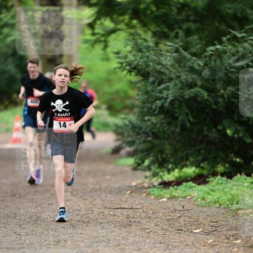 19.04.2026 - Hammer Lauf Dr. Thomas Lammeyer http://msf.ph/oto/9545589 19.04.2026 11:25:45 Laufen 141 meine-sportfotos.de