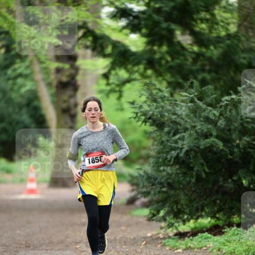 19.04.2026 - Hammer Lauf Dr. Thomas Lammeyer http://msf.ph/oto/9545742 19.04.2026 11:26:13 Laufen 1858 meine-sportfotos.de
