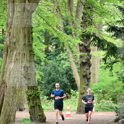 19.04.2026 - Hammer Lauf Dr. Thomas Lammeyer http://msf.ph/oto/9546147 19.04.2026 11:27:55 Laufen 1681 meine-sportfotos.de