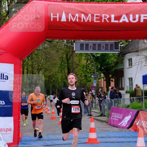 19.04.2026 - Hammer Lauf Tim E. http://msf.ph/oto/9547001 19.04.2026 12:41:49 Ziel 154, 212, 262, 418, 518, 697, 1275, 1591, 1592, 1649 meine-sportfotos.de