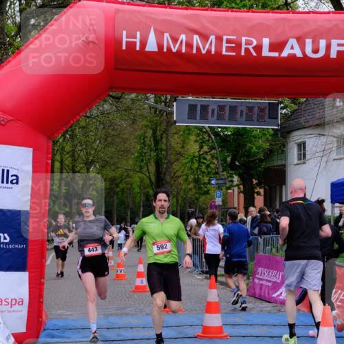 19.04.2026 - Hammer Lauf Tim E. http://msf.ph/oto/9547012 19.04.2026 12:41:57 Ziel 443, 518, 555, 556, 558, 592, 697, 810, 939, 1166, 1587, 1884 meine-sportfotos.de