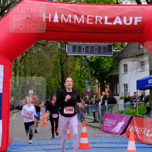 19.04.2026 - Hammer Lauf Tim E. http://msf.ph/oto/9547132 19.04.2026 12:43:20 Ziel 1059, 1131, 1288, 1923, 1924, 1927 meine-sportfotos.de
