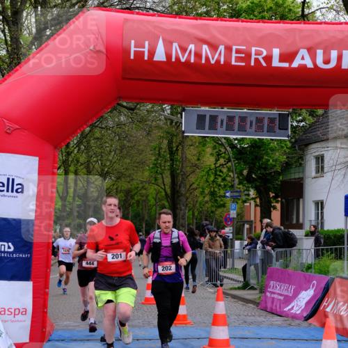 19.04.2026 - Hammer Lauf Tim E. http://msf.ph/oto/9547195 19.04.2026 12:44:32 Ziel 202, 383, 444, 988, 1089, 1123, 1167, 1319, 1579, 1931 meine-sportfotos.de