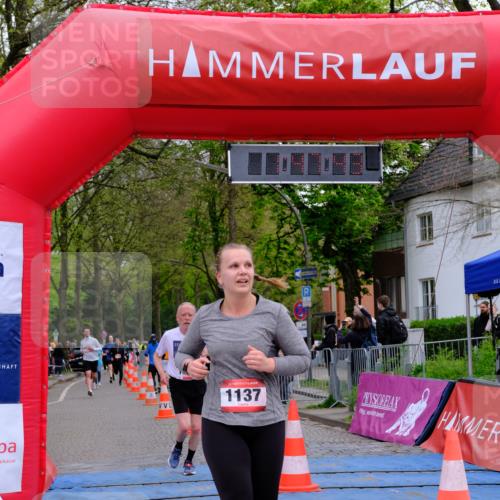 19.04.2026 - Hammer Lauf Tim E. http://msf.ph/oto/9547442 19.04.2026 12:47:51 Ziel 239, 520, 1137, 1646, 1782, 1845 meine-sportfotos.de