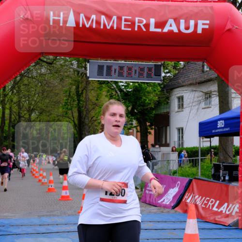 19.04.2026 - Hammer Lauf Tim E. http://msf.ph/oto/9547564 19.04.2026 12:49:02 Ziel 831, 959, 1260, 1470, 1884 meine-sportfotos.de