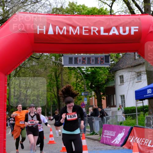 19.04.2026 - Hammer Lauf Tim E. http://msf.ph/oto/9547795 19.04.2026 12:51:23 Ziel 8, 486, 518, 741, 912, 972, 973, 1571, 1574, 1636, 1728 meine-sportfotos.de