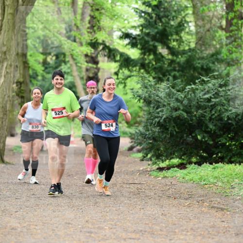 19.04.2026 - Hammer Lauf Dr. Thomas Lammeyer http://msf.ph/oto/9548904 19.04.2026 11:34:07 Laufen 830, 525, 524 meine-sportfotos.de