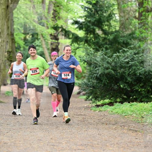 19.04.2026 - Hammer Lauf Dr. Thomas Lammeyer http://msf.ph/oto/9548906 19.04.2026 11:34:07 Laufen 830, 525, 524 meine-sportfotos.de