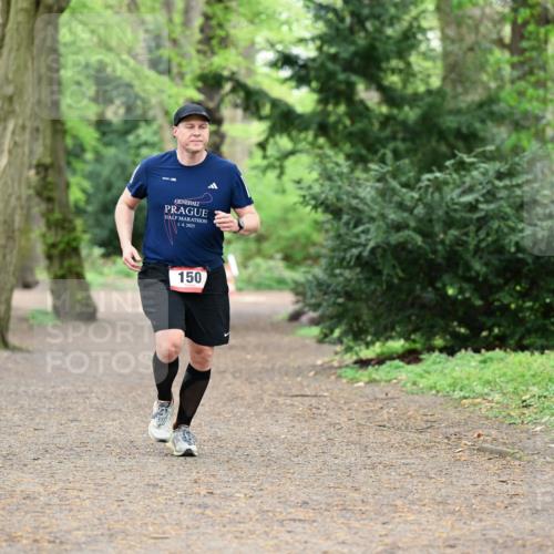 19.04.2026 - Hammer Lauf Dr. Thomas Lammeyer http://msf.ph/oto/9549103 19.04.2026 11:34:37 Laufen 2025, 150 meine-sportfotos.de