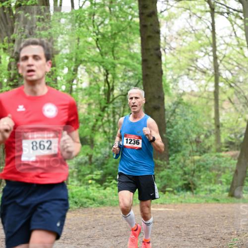19.04.2026 - Hammer Lauf Dr. Thomas Lammeyer http://msf.ph/oto/9549937 19.04.2026 11:43:34 Laufen 1236, 862 meine-sportfotos.de