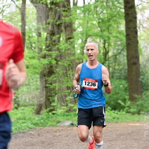 19.04.2026 - Hammer Lauf Dr. Thomas Lammeyer http://msf.ph/oto/9549944 19.04.2026 11:43:35 Laufen 1236 meine-sportfotos.de