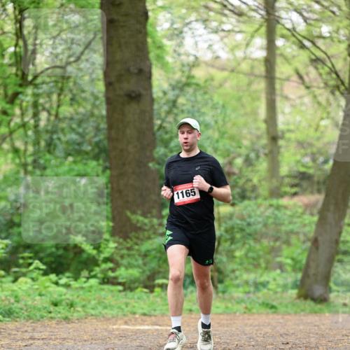 19.04.2026 - Hammer Lauf Dr. Thomas Lammeyer http://msf.ph/oto/9549990 19.04.2026 11:44:19 Laufen 1165 meine-sportfotos.de