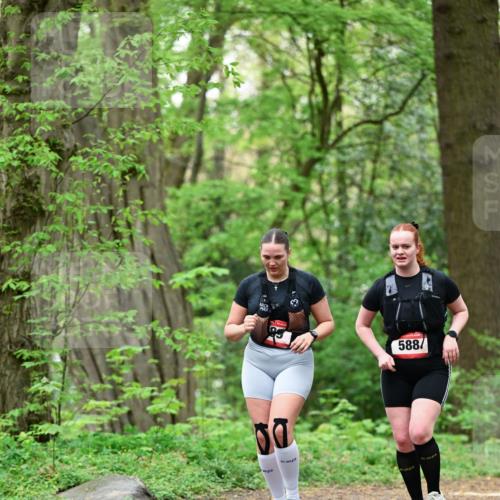 19.04.2026 - Hammer Lauf Dr. Thomas Lammeyer http://msf.ph/oto/9550073 19.04.2026 11:45:22 Laufen 588 meine-sportfotos.de