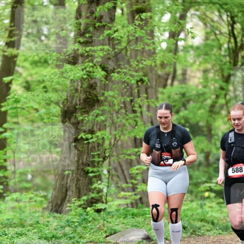 19.04.2026 - Hammer Lauf Dr. Thomas Lammeyer http://msf.ph/oto/9550081 19.04.2026 11:45:23 Laufen 588 meine-sportfotos.de