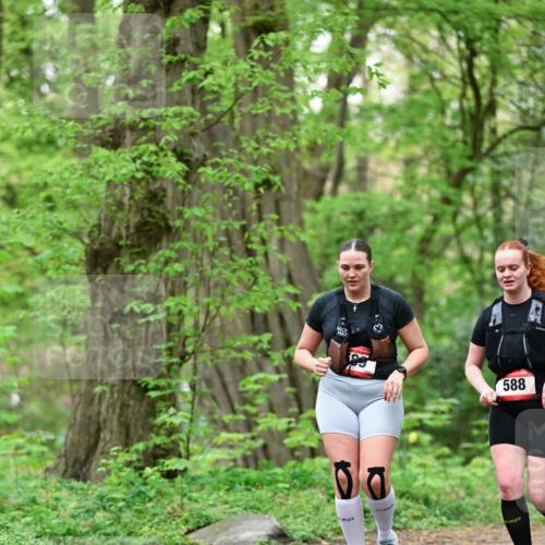 19.04.2026 - Hammer Lauf Dr. Thomas Lammeyer http://msf.ph/oto/9550083 19.04.2026 11:45:23 Laufen 588 meine-sportfotos.de