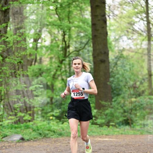 19.04.2026 - Hammer Lauf Dr. Thomas Lammeyer http://msf.ph/oto/9550207 19.04.2026 11:47:56 Laufen 1255 meine-sportfotos.de