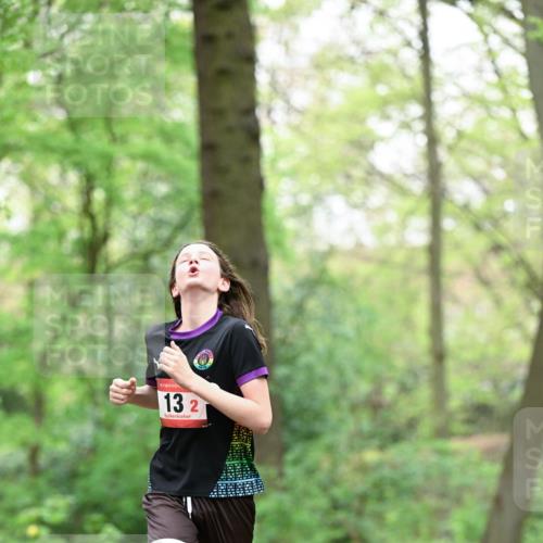 19.04.2026 - Hammer Lauf Dr. Thomas Lammeyer http://msf.ph/oto/9550308 19.04.2026 11:48:39 Laufen  meine-sportfotos.de