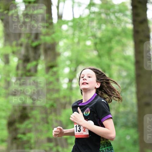 19.04.2026 - Hammer Lauf Dr. Thomas Lammeyer http://msf.ph/oto/9550314 19.04.2026 11:48:40 Laufen 132 meine-sportfotos.de