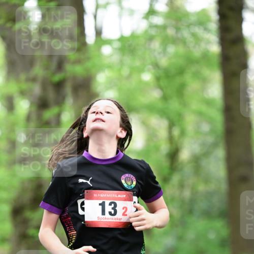 19.04.2026 - Hammer Lauf Dr. Thomas Lammeyer http://msf.ph/oto/9550321 19.04.2026 11:48:41 Laufen 1910, 132 meine-sportfotos.de