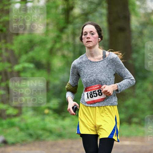 19.04.2026 - Hammer Lauf Dr. Thomas Lammeyer http://msf.ph/oto/9550462 19.04.2026 11:50:36 Laufen 1858 meine-sportfotos.de