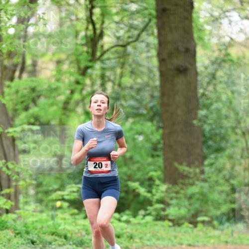 19.04.2026 - Hammer Lauf Dr. Thomas Lammeyer http://msf.ph/oto/9550526 19.04.2026 11:50:47 Laufen  meine-sportfotos.de