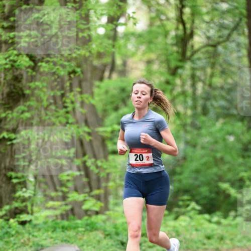19.04.2026 - Hammer Lauf Dr. Thomas Lammeyer http://msf.ph/oto/9550532 19.04.2026 11:50:48 Laufen  meine-sportfotos.de