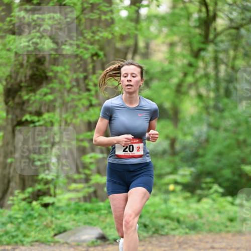 19.04.2026 - Hammer Lauf Dr. Thomas Lammeyer http://msf.ph/oto/9550536 19.04.2026 11:50:48 Laufen  meine-sportfotos.de