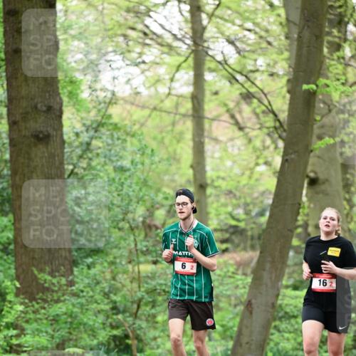19.04.2026 - Hammer Lauf Dr. Thomas Lammeyer http://msf.ph/oto/9550633 19.04.2026 11:51:50 Laufen 162 meine-sportfotos.de