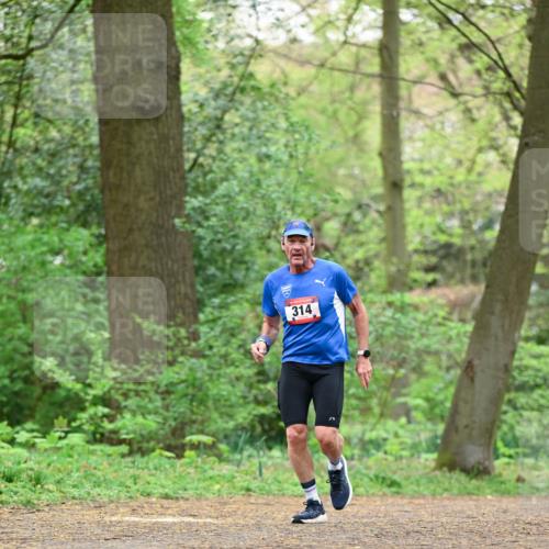 19.04.2026 - Hammer Lauf Dr. Thomas Lammeyer http://msf.ph/oto/9550740 19.04.2026 11:52:22 Laufen 314 meine-sportfotos.de