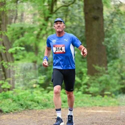 19.04.2026 - Hammer Lauf Dr. Thomas Lammeyer http://msf.ph/oto/9550759 19.04.2026 11:52:25 Laufen 314 meine-sportfotos.de