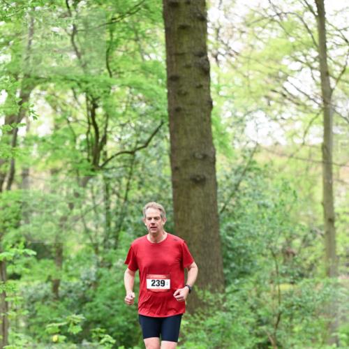 19.04.2026 - Hammer Lauf Dr. Thomas Lammeyer http://msf.ph/oto/9551181 19.04.2026 11:57:38 Laufen 239 meine-sportfotos.de